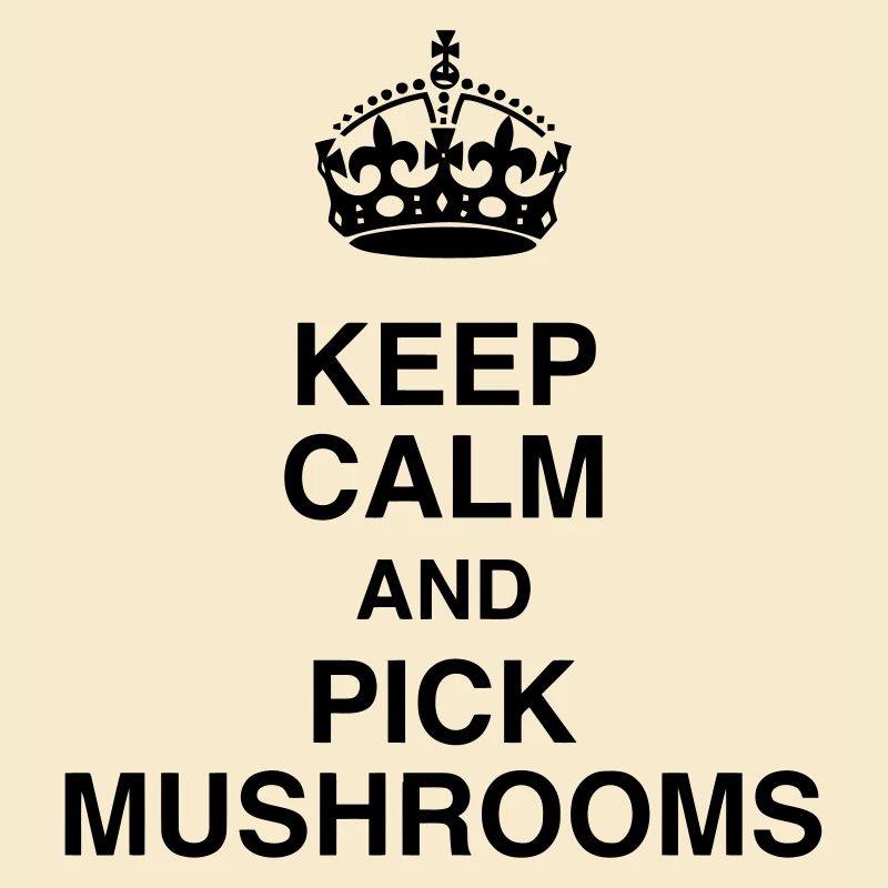 Chasse aux champignons / Champignon / Cueillette