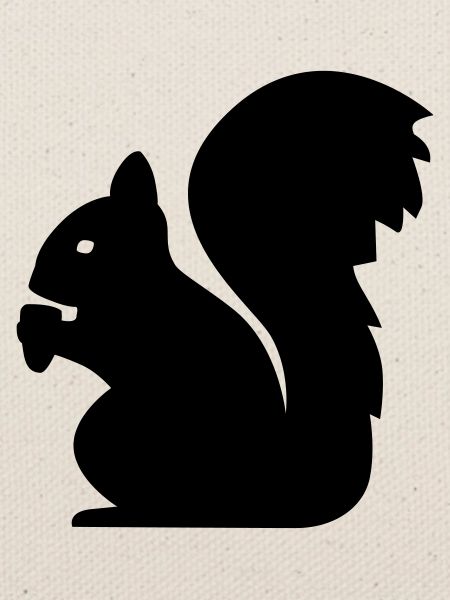 Eichhörnchen