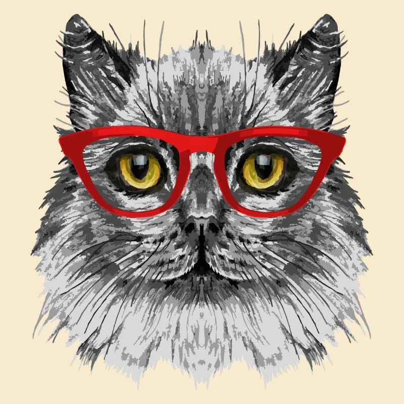 Katze