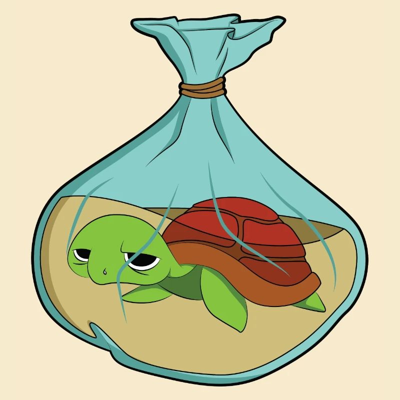 Turtle Climate Change Pollution