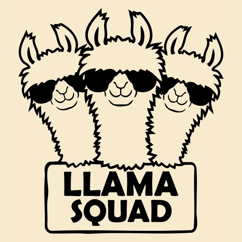 Conception d’équipe Llama Squad