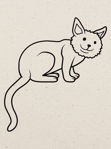 Mignon cher chat assis
