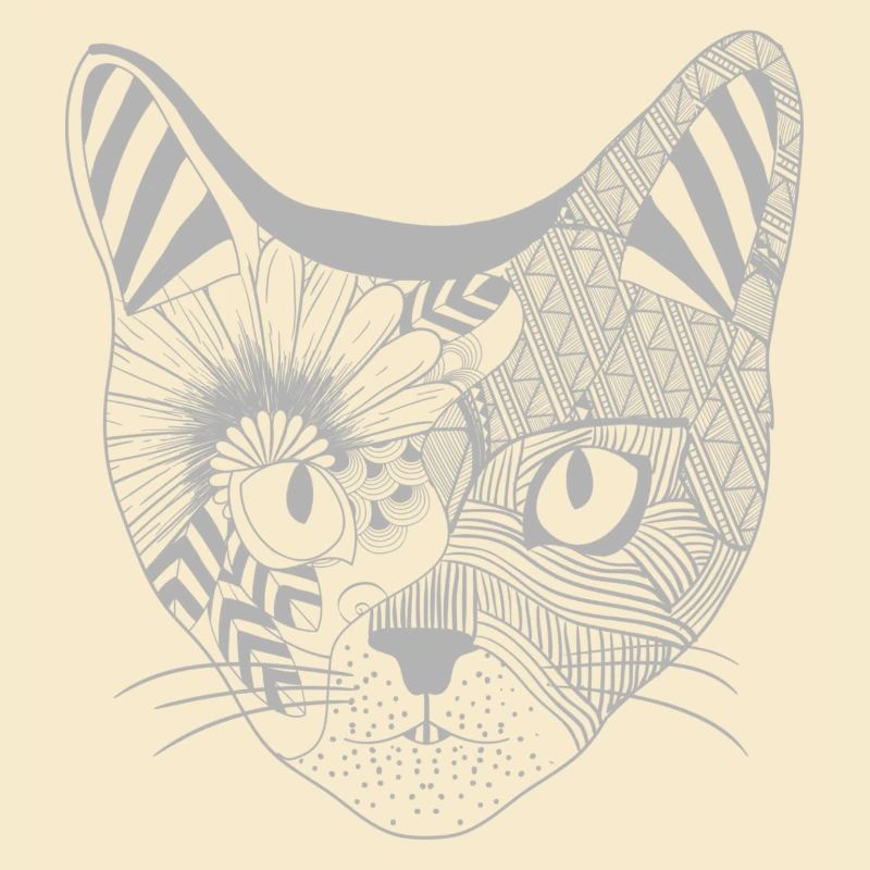 Patterned perfection - Cat