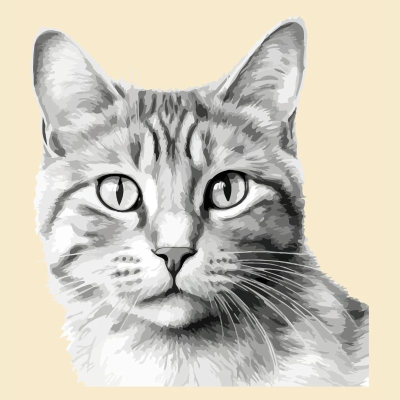 Bli le chat