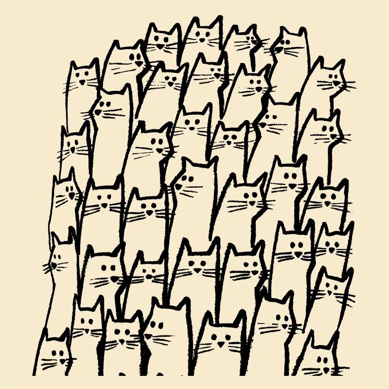 Katzen in Schwarz