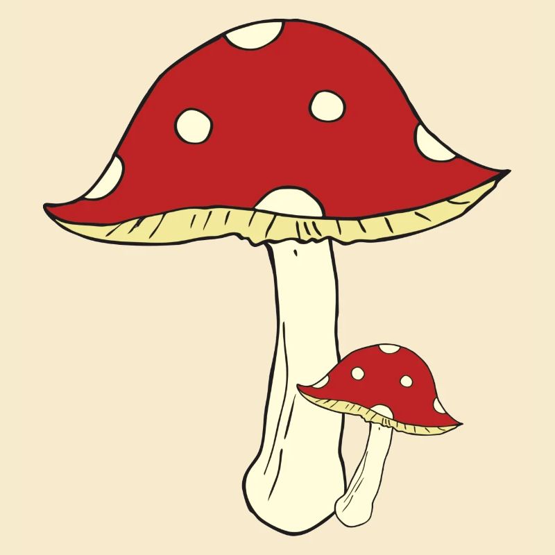 Toadstool big and small