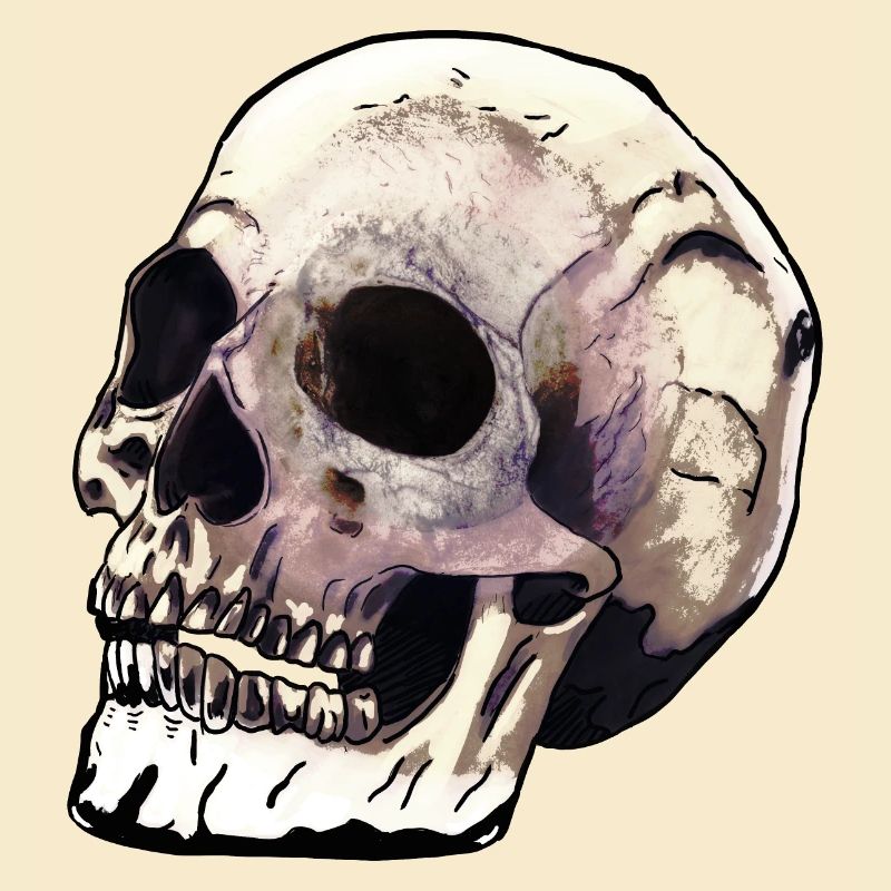 Skull Dimension