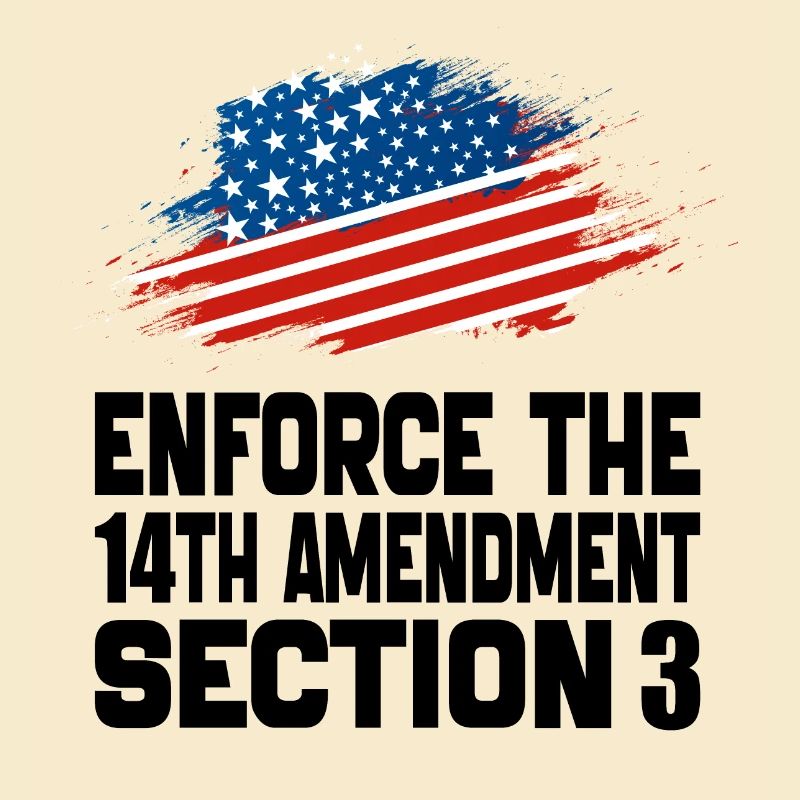 Enforce The 14TH Amendment Section 3
