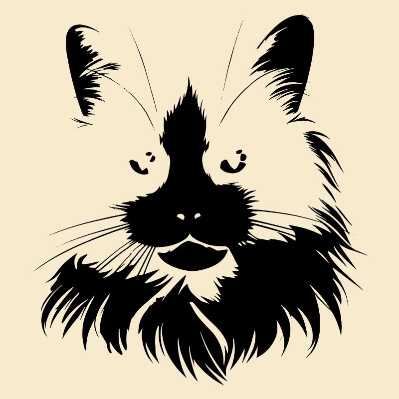 Chat, Motif De Chat