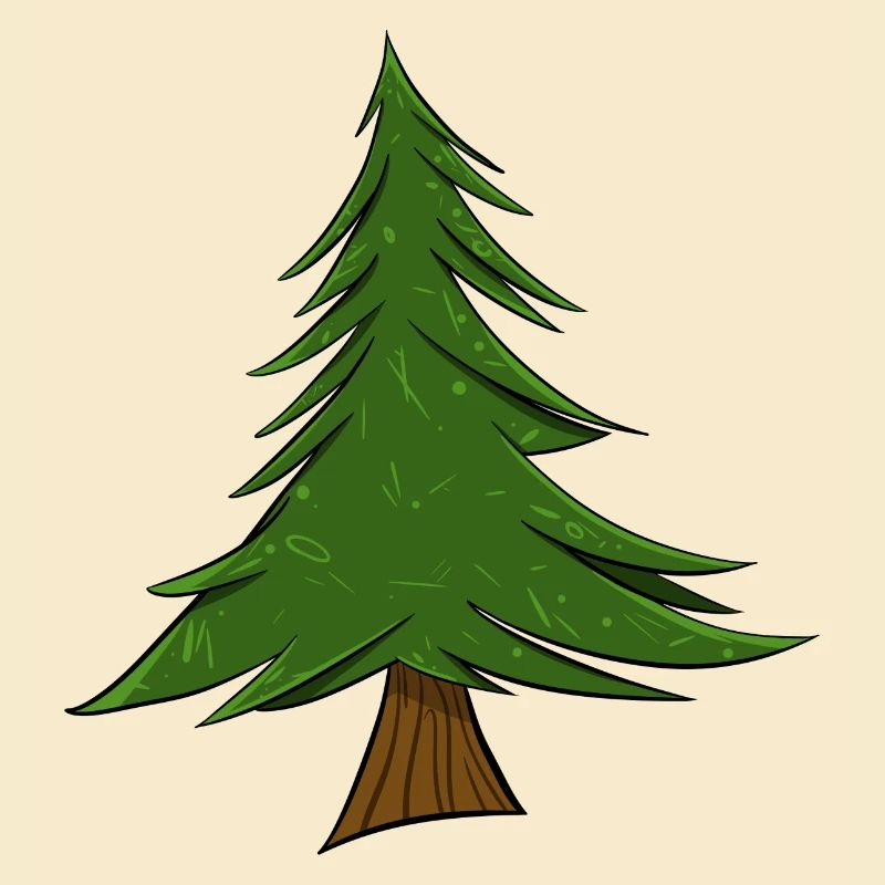 Fir | Christmas Tree | Pine Tree
