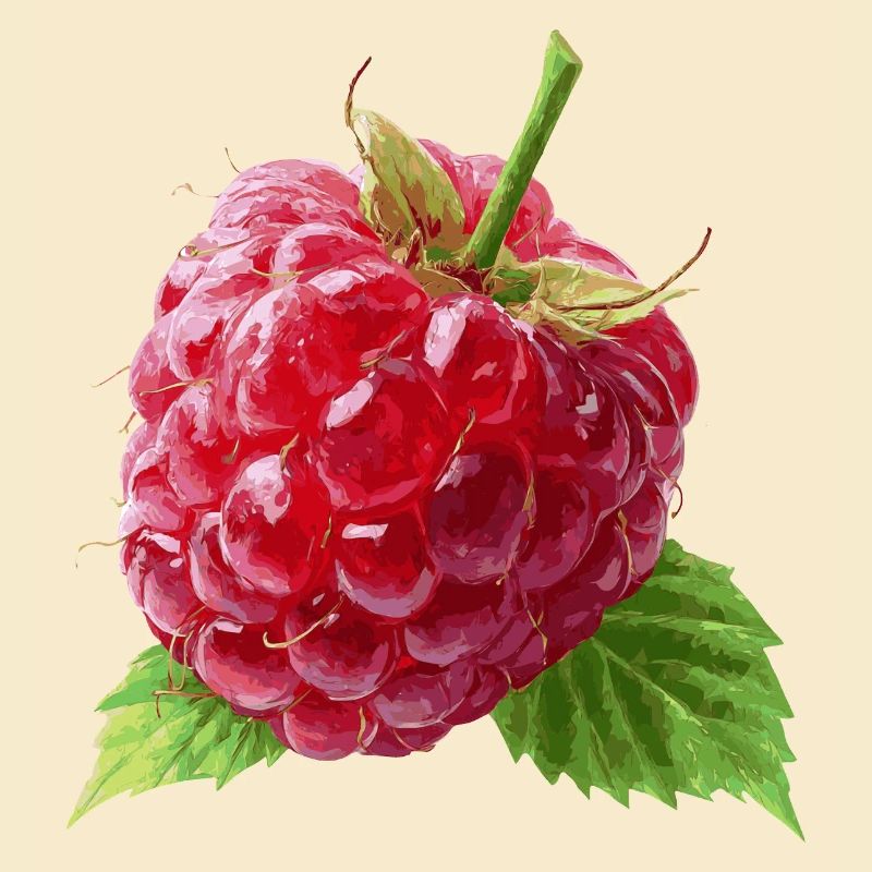 Himbeere