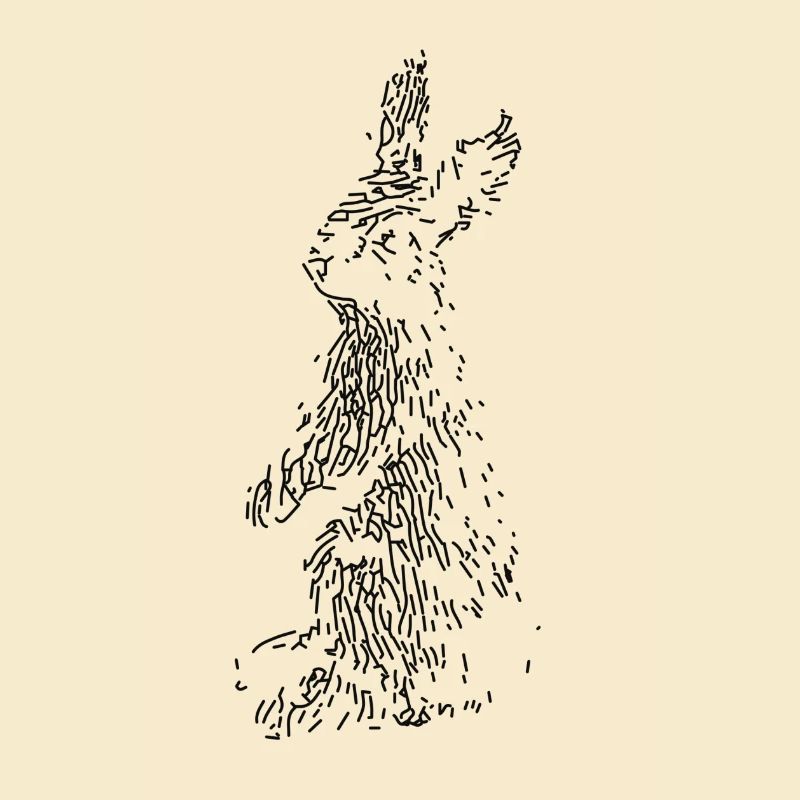 Hase
