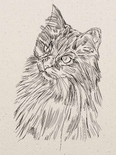 Süßes Katzengesicht