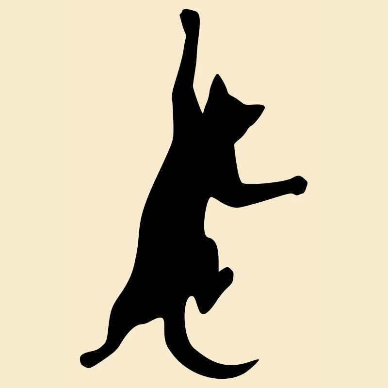 katze kletterkatze