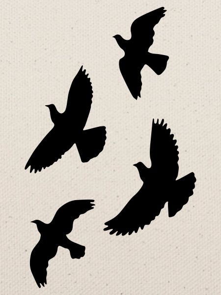 Vögel