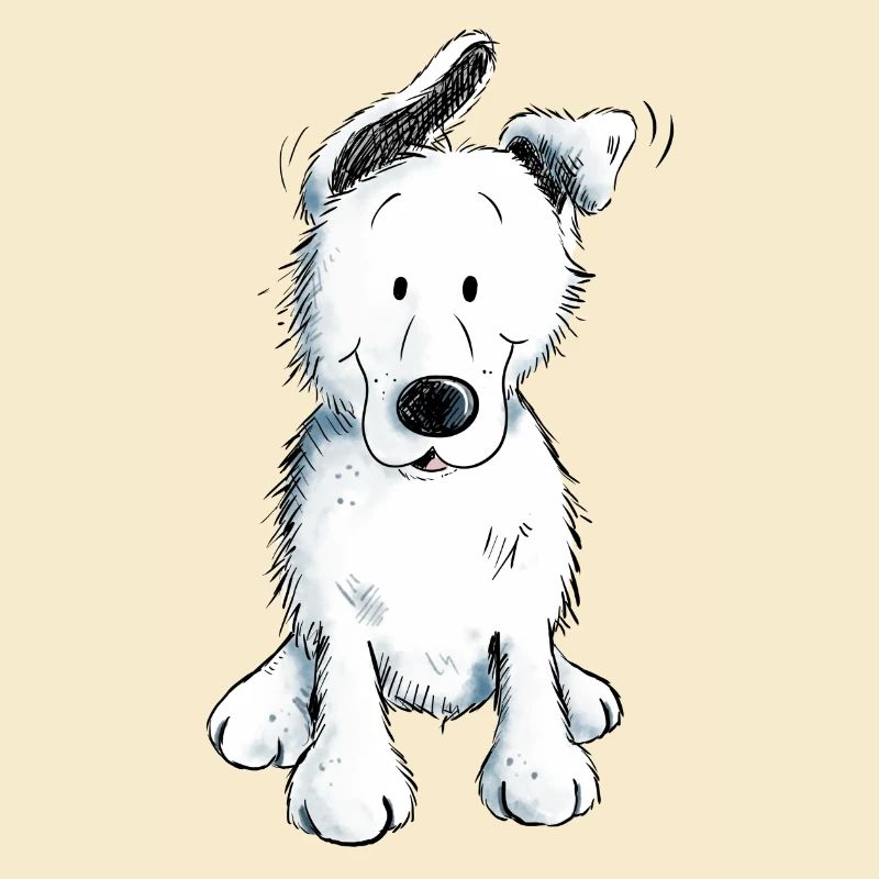 Weißer Schäferhund | Schweizer Schäferhund