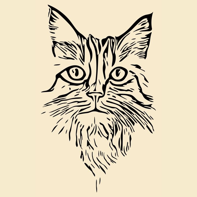 Chat - vecteur
