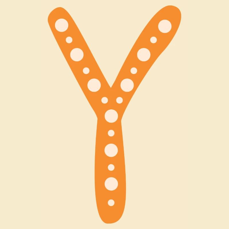 Letter Y
