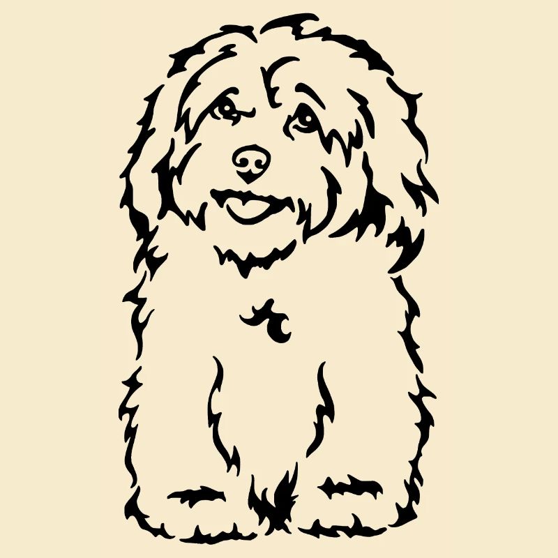 Havanese