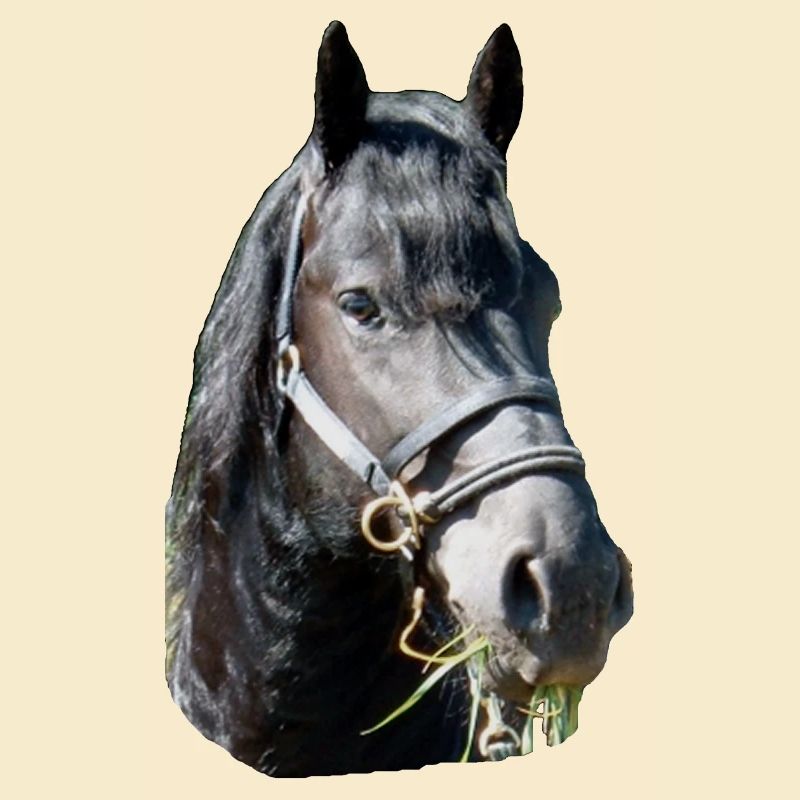 Frieze head