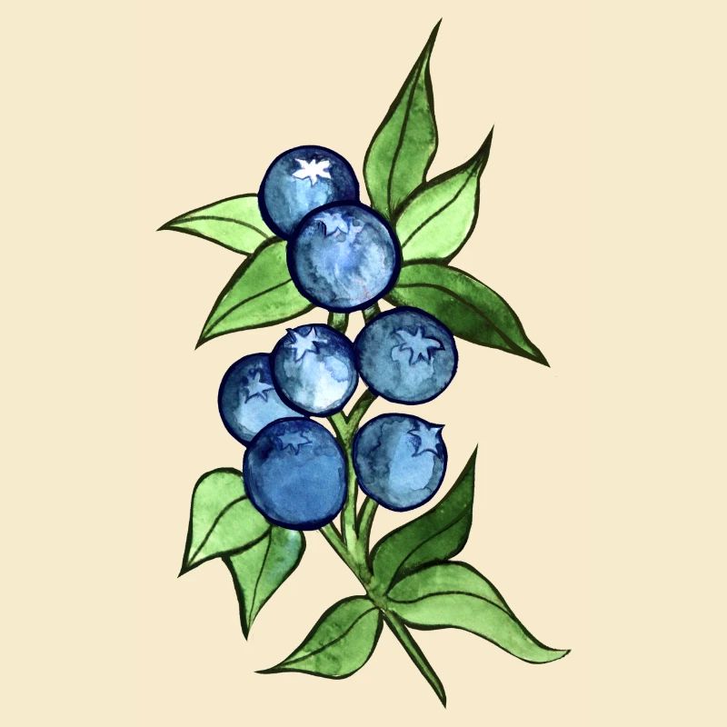 Blaubeeren