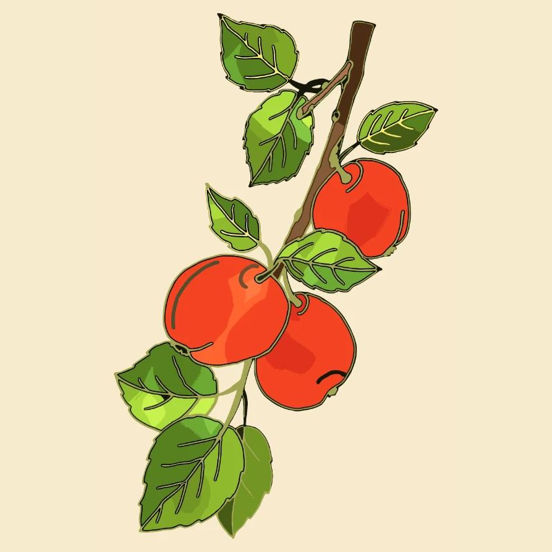 Äpfel