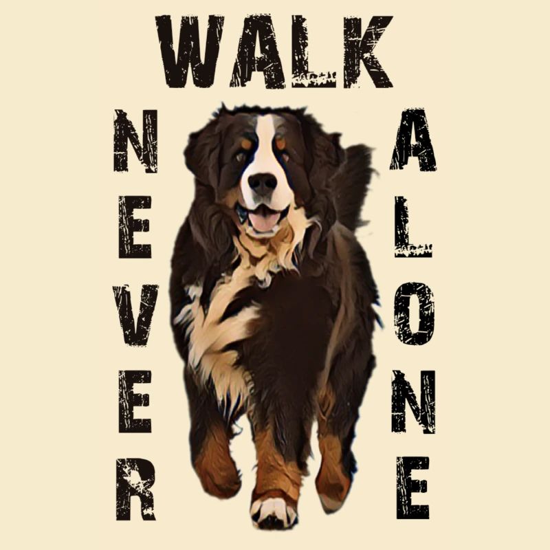 Bernese mountain dog
