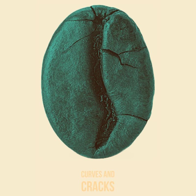 Curves & Cracks