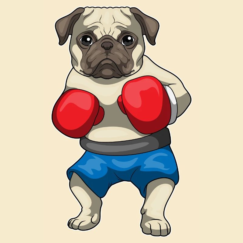 Mops Boxer Boxhandschuhe Boxen
