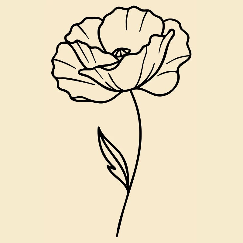 Coquelicot – Graphique linéaire, contours de fleurs