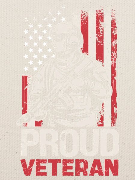 Stolzer Veteran mit US-Flagge