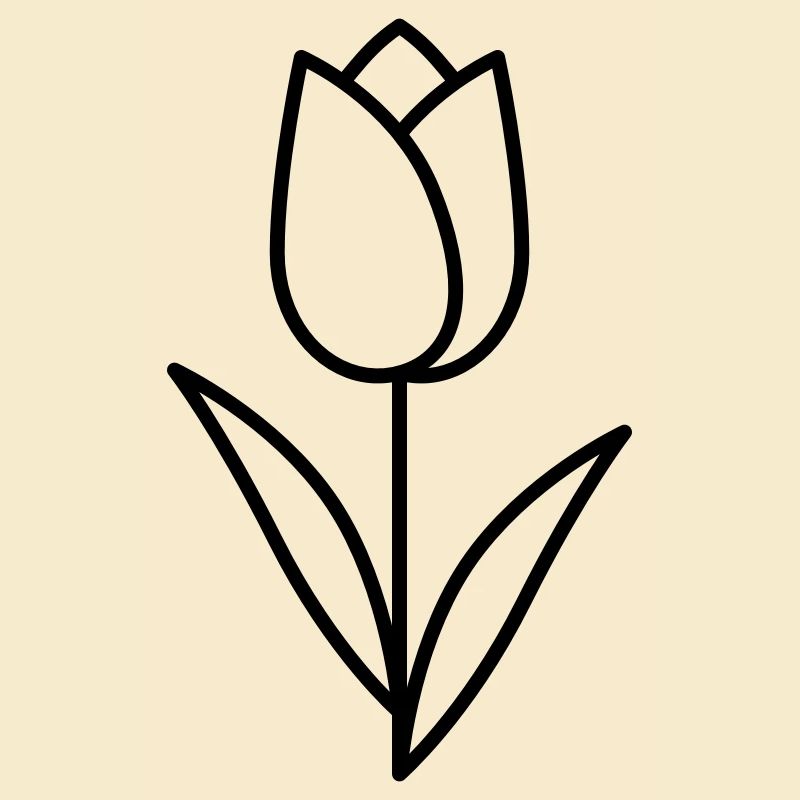 Tulipe