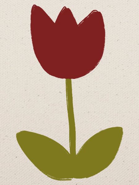 Tulip Minimalist Bloom