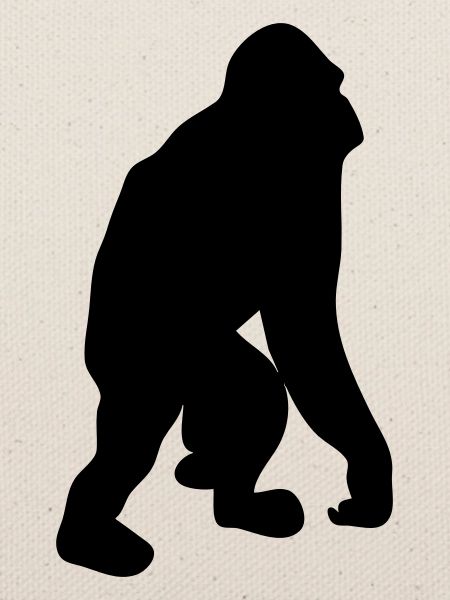 Orang-Utan