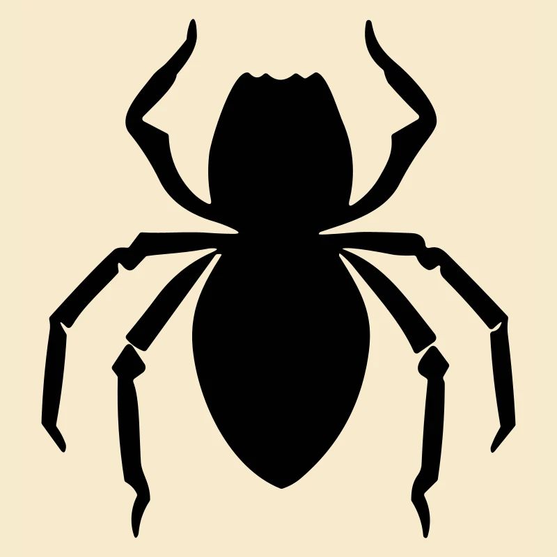 spider