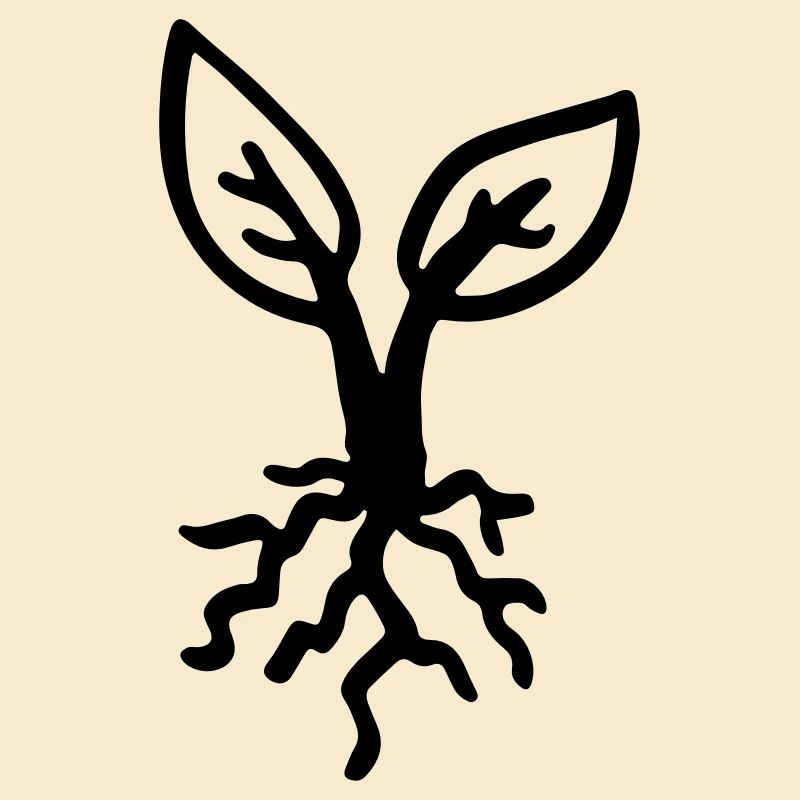 Plant root / plant - root - seedling - sprout