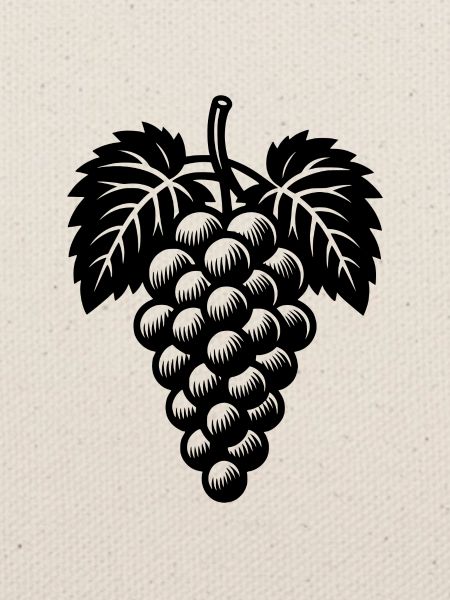 Weinreben Weintrauben und Blättern