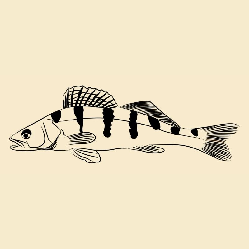Zander
