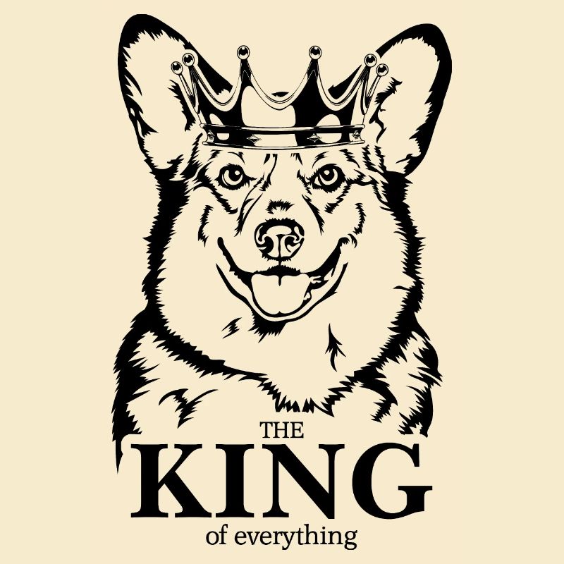 Welsh Corgi Roi de tout Chiens Wilsigns