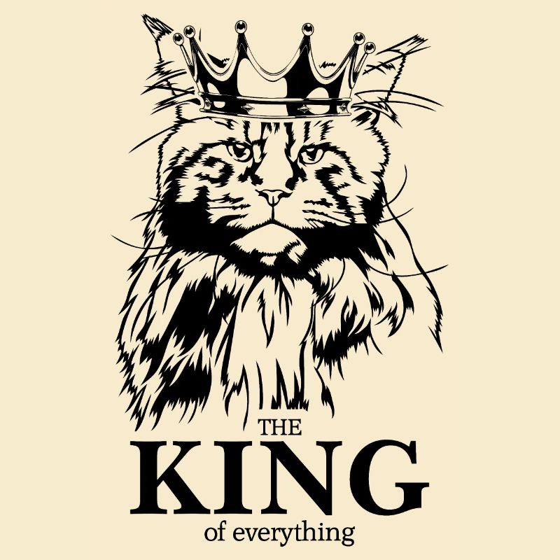 Maine Coon Roi de tout Chat Dire Chat