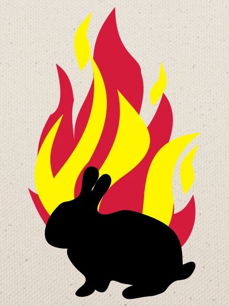 Bunny with fire