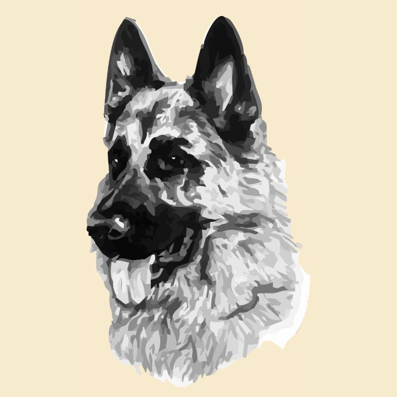 Schäferhund