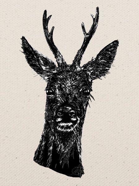 Rehbock Portrait Schwarz