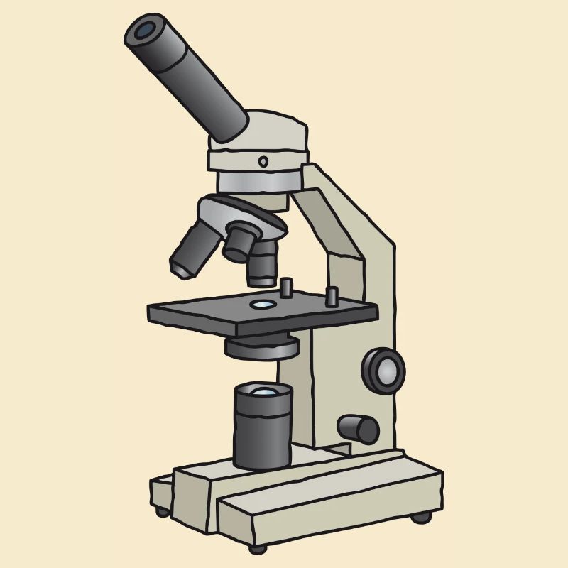 Microscope