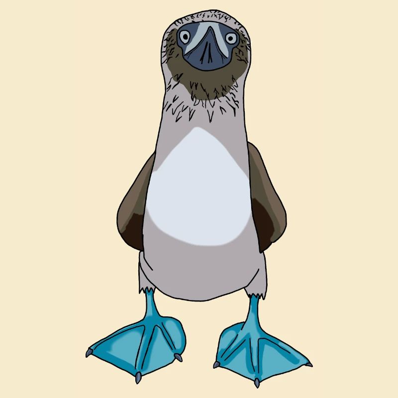 Blue Footed Booby