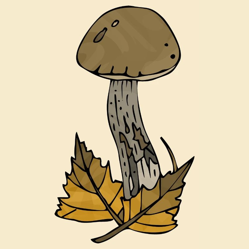 Pilz