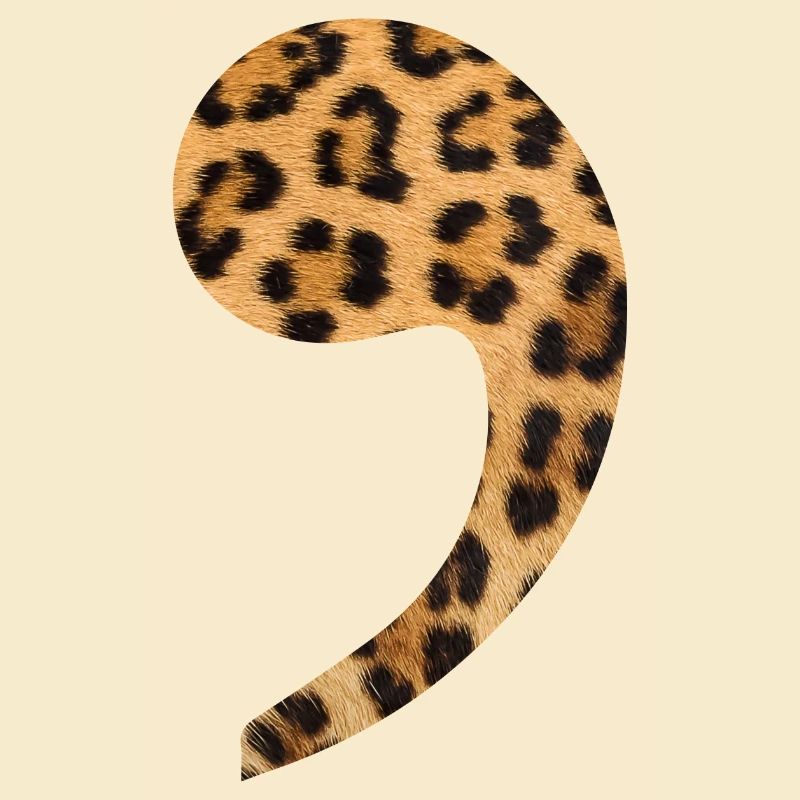 leopard comma trend gift idea punctuation