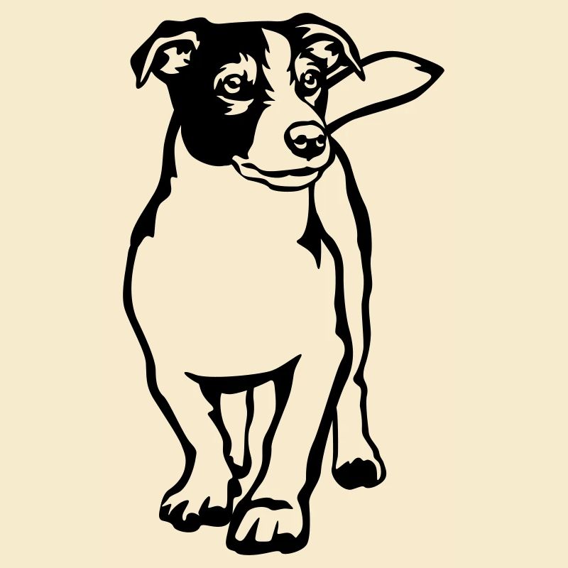 Jack Russell Terrier