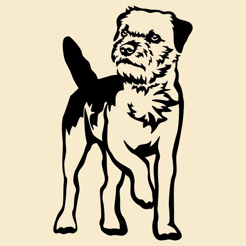 Border Terrier