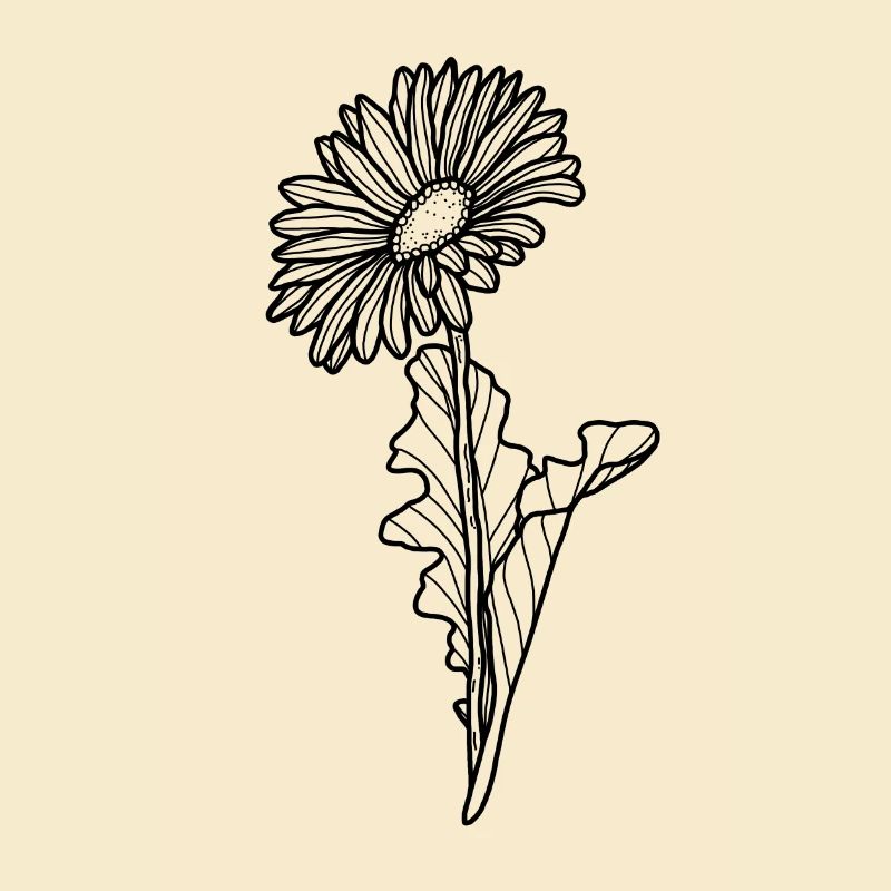 Blume Gerbera